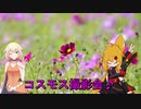 ＮＳ－１で行く！十三塚史跡公園のコスモス♪