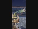 モンスターハンターNOW プケプケ　★5