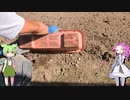 イチゴの栽培をリベンジなのだ