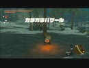 【ゼルダの伝説 ティアーズ オブ ザ キングダム】再びハイラルを救うまで【実況】 part157