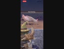モンスターハンターNOW パオウルムー　★4