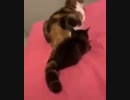 □□□□□□□□□□□□□□□□□