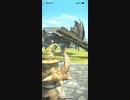 モンスターハンターNOW リオレイア　★4