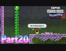 ワンダーな世界 フラワー王国を大冒険！【スーパーマリオブラザーズ ワンダーpart20】