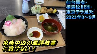 仙台帰省・相馬松川浦（福島海産物支援）・東京ﾁﾗ見ﾀﾋﾞ 20230822