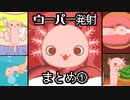 ウーパーまとめ①