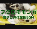 【#作業用BGM】【#1時間耐久】【#癒やし 】フクロモモンガショートまとめ #癒やしのペット動画 #モモンガ #フクモモ #pets
