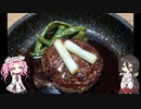 アジ釣りにいったけどまったく釣れなかったんでシーバス釣ってハンバーグ食べる【VOICEROIDフィッシング】四国めたんと中国うさぎ