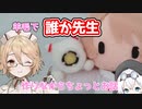 【ナースロボ_タイプT】羊毛で誰か先生作るよー【VOICEVOX】