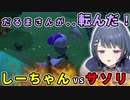 サソリとの激闘を繰り広げる可愛いしーちゃん