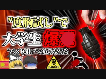 【2016年】"度胸試し"で爆発    大学生「面白いものを見せてやるよ」手榴弾のピンを抜き差しする動画を投稿→誤って爆発・右手と腹部が吹き飛ぶ【ゆっくり解説】