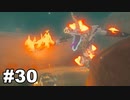 【ゆっくり実況】ゼルダの伝説BotW 4縛り#30