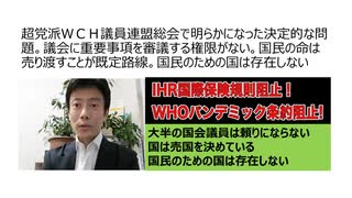 【ニコ動同時掲載】超党派ＷＣＨ議員連盟総会で明らかになった決定的な問題。議会に重要事項を審議する権限がない。国民の命は売り渡すことが既定路線。国民のための国は存在しない。パンデミック条約と国際保健規則を許すな