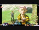 ⌘プレイアーカイブ⌘ ハイラルソード その246