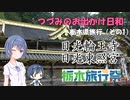 【栃木旅行祭】つづみのお出かけ日和【栃木県旅行（その1）：日光輪王寺・日光東照宮】