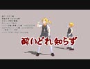 【MMD】酔いどれ知らず（モーション配布）