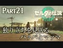 独り立ちを見送るパァパとマァマ【ゼルダの伝説 ティアーズオブザキングダム】Part21