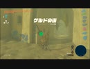【ゼルダの伝説 ティアーズ オブ ザ キングダム】再びハイラルを救うまで【実況】 part158
