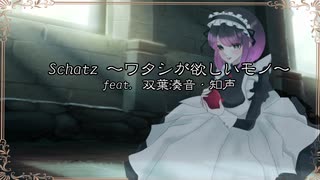 Schatz ～ワタシが欲しいモノ～ feat. 双葉湊音・知声【Takeching】