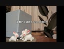 離散的な連続で / miyΔ_初音ミク