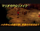 マリオRPGリメイク　ハナチャンの森の隠し部屋の行き方は？　ストーリー攻略オリジナル版との違いは？　＃１９