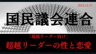 「超越リーダー向け」超リーダーが知るべき、性と恋愛の重要性」　ラジオ版れいわニュースシフト2023.11.17