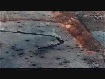 ホモと見るカルガモ走法