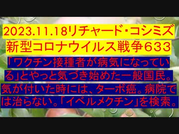 2023.11.18リチャード・コシミズ 新型コロナウイルス戦争６３３