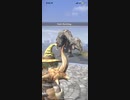 モンスターハンターNOW ボルボロス　★2 紫