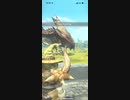 モンスターハンターNOW リオレウス　★1 紫