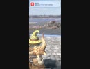 モンスターハンターNOW ジュラトドス