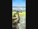 モンスターハンターNOW クルルヤック　1
