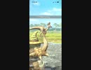 モンスターハンターNOW クルルヤック　★5