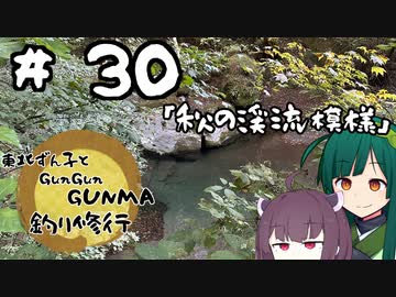 東北ずん子とgungunGUNMA釣り修行#30「秋の水中模様」