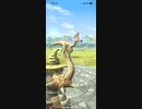 モンスターハンターNOW クルルヤック