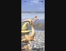 モンスターハンターNOW クルルヤック　★5