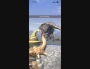 モンスターハンターNOW ボルボロス