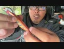 【３時ニコ生録画】2023/11/18 06:00 飯雑
