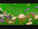 『空の下に咲く花』FROM長山・知由理｜Chiyuri-Nagayama