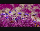 『空の下に咲く花』FROM長山・知由理｜Chiyuri-Nagayama