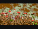 『空の下に咲く花』FROM長山・知由理｜Chiyuri-Nagayama