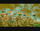 『空の下に咲く花』FROM長山・知由理｜Chiyuri-Nagayama