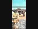 モンスターハンターNOW ボルボロス　★3
