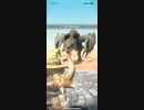 モンスターハンターNOW リオレイア　★4