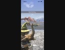 モンスターハンターNOW パオウルムー