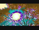 『葉っぱに差し込む光』FROM長山・知由理｜Chiyuri-Nagayama