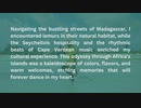 Emmanuel Katto Africa Travel Experience