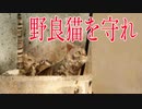 廃工場で虐待されてる猫ちゃんを「変態チェーンソー男」から助け出すホラーゲームが怖すぎる