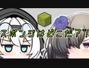 【マイクラ05】スポンジはどこだ？！【もち子さん ひまりちゃん】