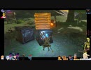 ⌘プレイアーカイブ⌘ ハイラルソード その255